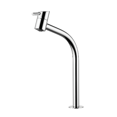 Swan